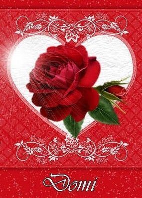 Rose rouge dans un coeur - Merci... CHRIS...