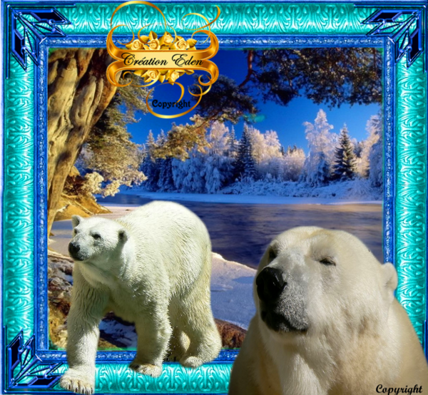 Les ours polaires - Une petite merveille de mon amie... LARA