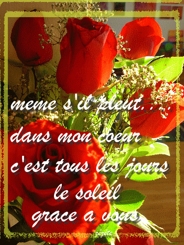 Un bouquet de roses rouges "Même s'il pleut..."...