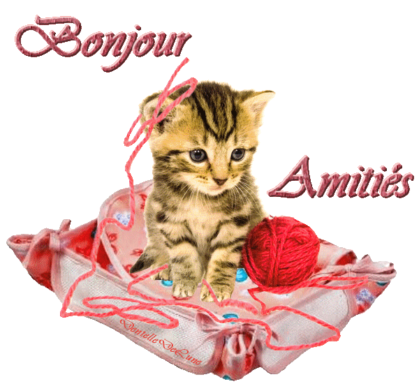 Chaton et pelote de laine rouge "Bonjour. Amitiés"...