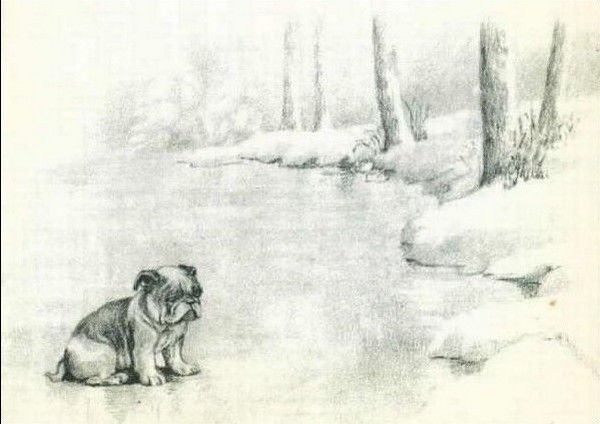 Illustration d'un livre: un bully perdu dans la neige...