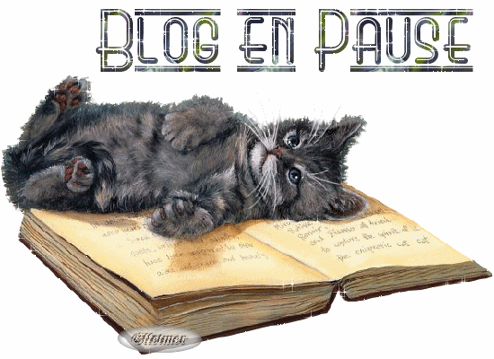 "Blog en pause" - Chat couch sur un livre...