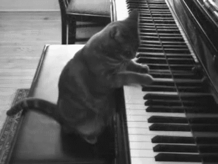 Un virtuose du piano...