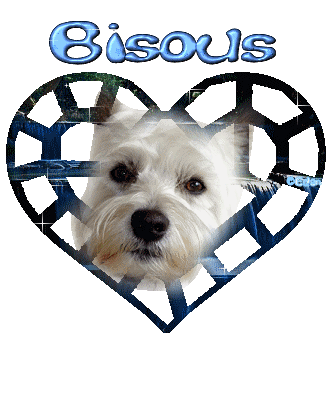 Une tête de Westie dans un coeur bleu "Bisous"...