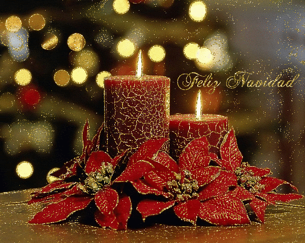 Bougies et poinsétias rouges et or "Feliz Navidad"...