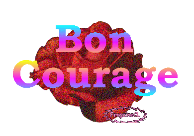 "Bon courage" - Rose rouge...