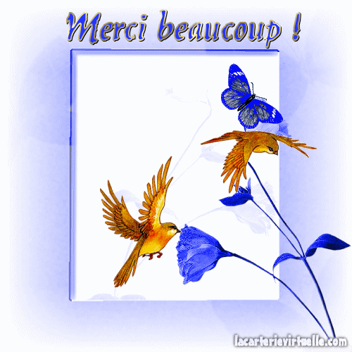 "Merci beaucoup!" - Oiseaux et papillon sur fleurs bleues