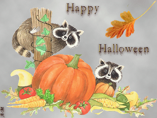 "Happy Halloween" - Deux ratons laveurs gourmands...