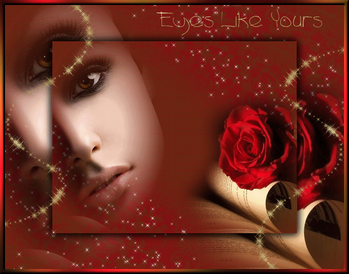 "Eyes like yours" - Regard féminin et rose rouge...
