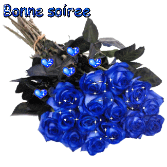 "Bonne soirée" - Bouquet de roses bleues...