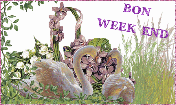 "Bon week-end" - Cygnes devant un panier de fleurs...