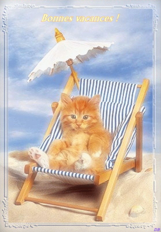 Résultat de recherche d'images pour "gif chat vacancs"
