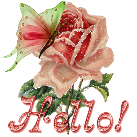 Une jolie rose accueille un papillon "Hello!"...