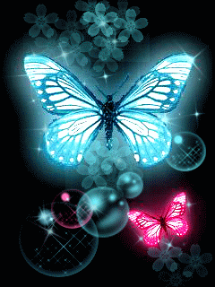 Papillons rose et bleu fluo dans la nuit...