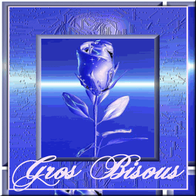 "Gros bisous" - Bouton de rose bleue...