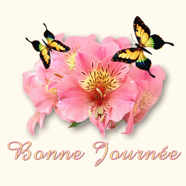 "Bonne journée" - Alstoemerias roses et papillons...