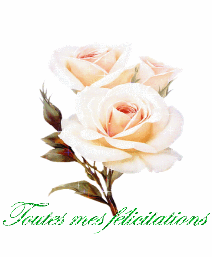 "Toutes mes félicitations" - Roses pâles...