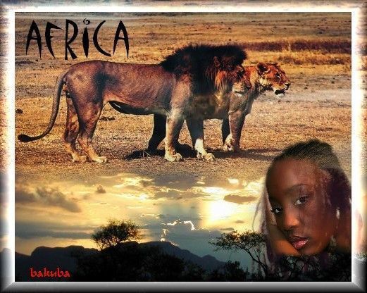 "Africa" - Mais tu sais les lionnes...