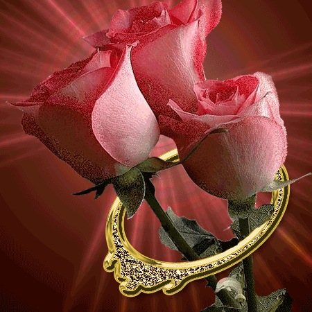 Trois roses dans un anneau d'or...
