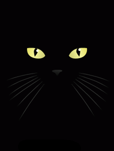 Deux yeux verts et une langue = un chat noir...