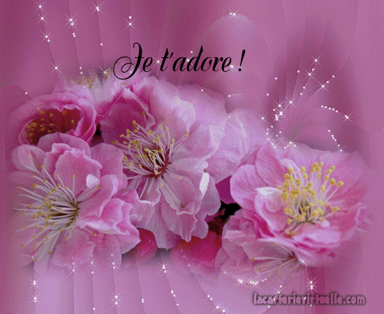 "Je t'adore!" - Sur un lit de fleurs roses épanouies...