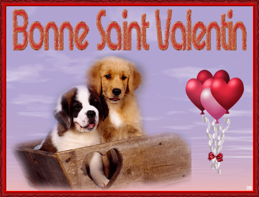 "Bonne Saint Valentin" avec chiots et coeurs chez MA DOMI...