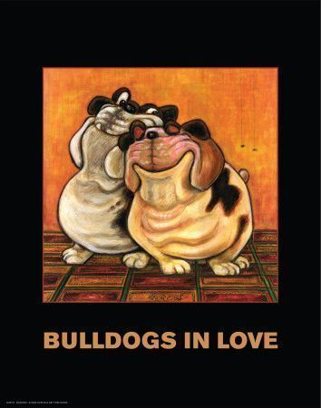 "Bulldogs in love" - Image caricaturée... 