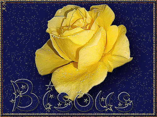 Rose jaune sur fond bleu nuit toil "Bisous"...