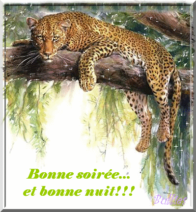 "Bonne soirée... Et bonne nuit!!!" - Jaguar...