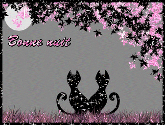 Silhouettes de chats au clair de lune rose "Bonne nuit"