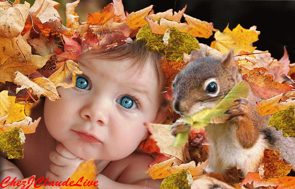 L'écureuil et l'enfant dans les feuilles d'Automne...