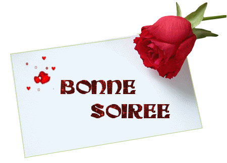 "Bonne soirée" - Bouton de rose rouge et carte...