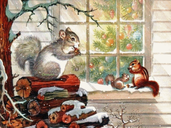 Ecureuils sous la neige...