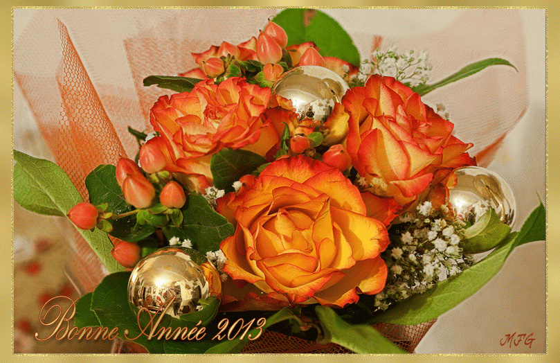 "Bonne Année 2013" - Bouquet de roses orange...