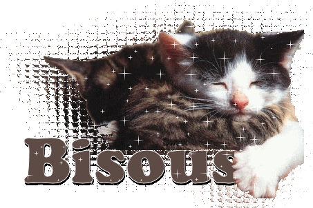 "Bisous" - Câlin de chats...