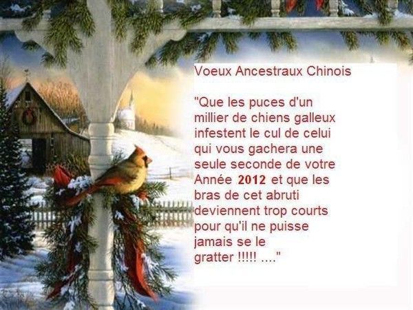 "Voeux Ancestraux Chinois" pour 2012 - Humour...