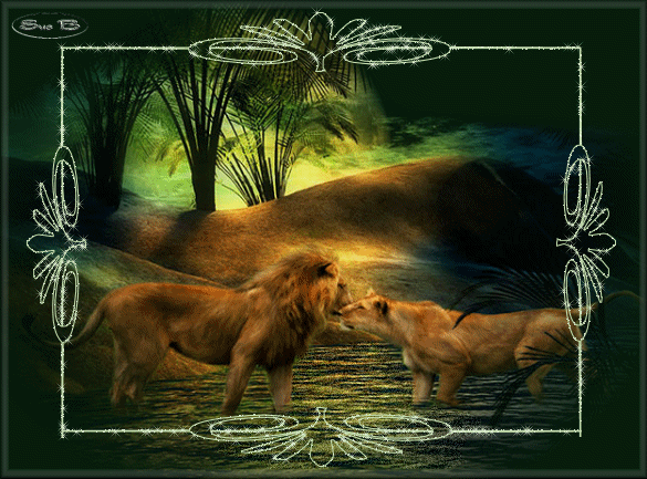 lion et tigre et félin