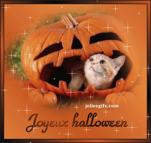 RÃ©sultat de recherche d'images pour "gifs animÃ©s joyeux halloween chat"