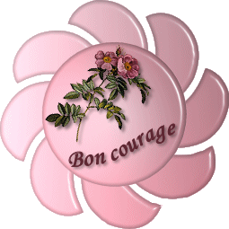 "Bon courage" - Soleil fleuri...