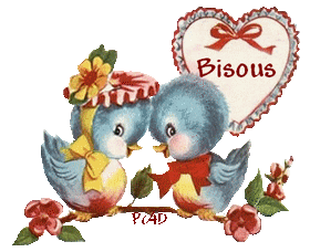 "Bisous" - Couple d'oiseaux endimanchés et coeur de dentelle