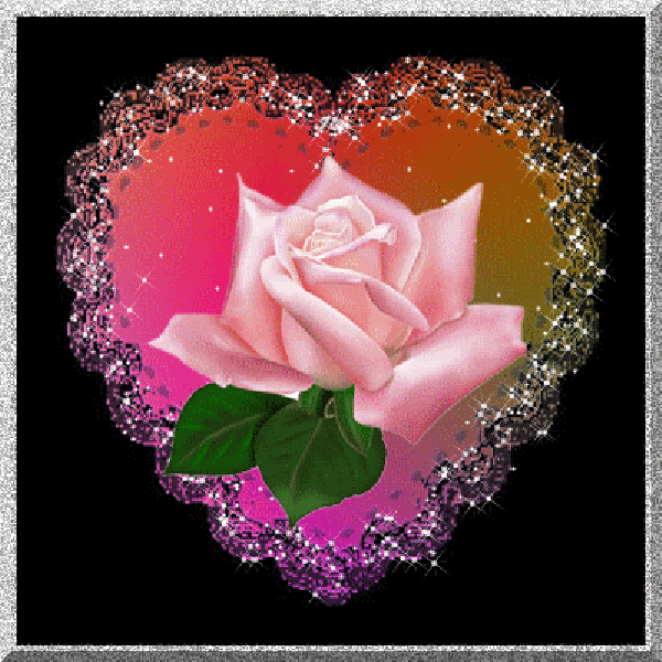 Coeur scintillant autour d'une rose...