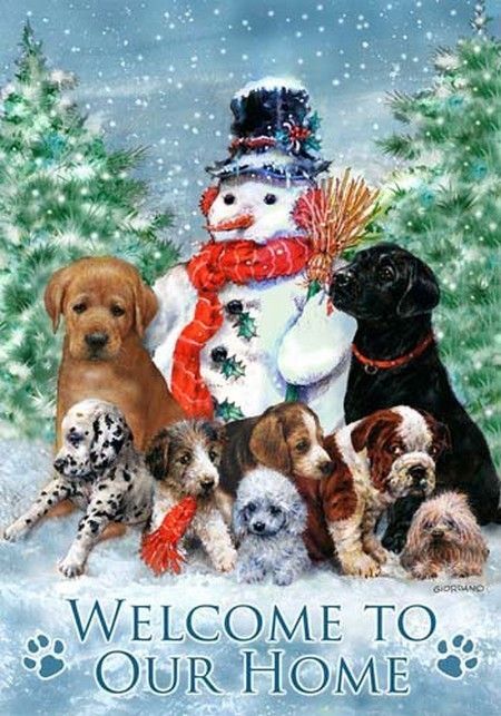 Bonhomme de neige et chiens...