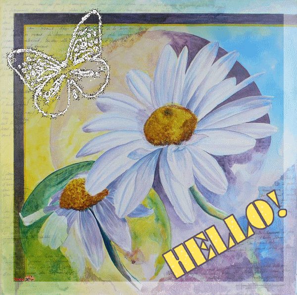 "Hello!" - Marguerites et papillon...