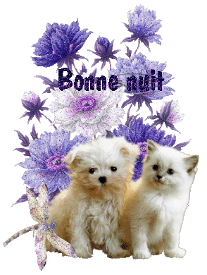 Chiot et chaton devant un bouquet mauve "Bonne nuit"...