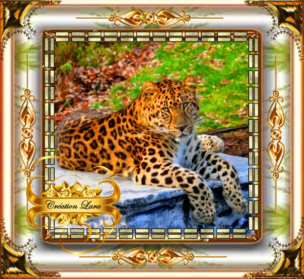 Le Jaguar - Magnifique créa de LARA...
