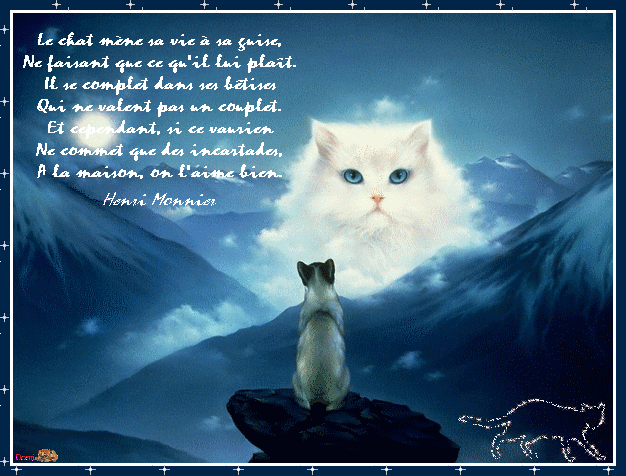 Le chat en poème - KDO POUR VOUS...