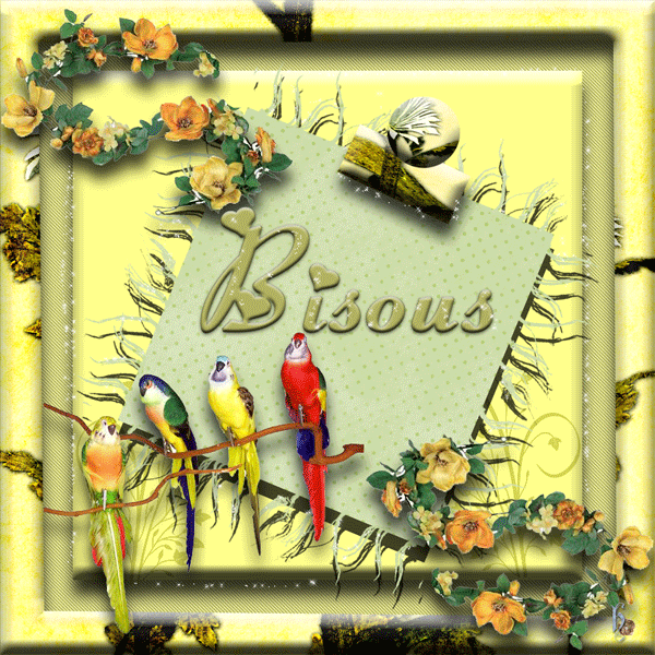 "Bisous" - Perroquets de toutes couleurs...