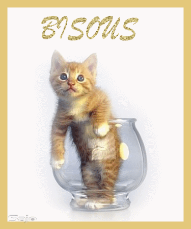 "Bisous" - Chaton roux dans un photophore...