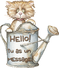 Chat bouriff dans l'arrosoir "Hello! Tu as un message!"...