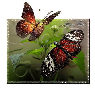 Papillons et feuillages...